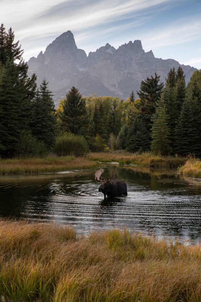 hobackbeaverponds